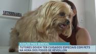 Tutores devem ter cuidados especiais com pets na hora dos fogos de Réveillon