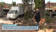 Árvore no bairro Radional gera transtornos aos moradores 