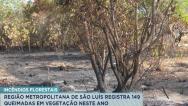 MA é o quarto Estado do Brasil com maior foco de queimadas, aponta INPE