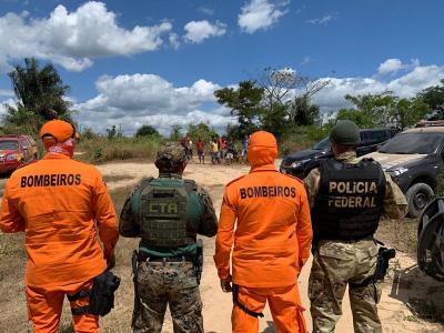 Operação destrói mais de 350 mil pés de maconha no MA