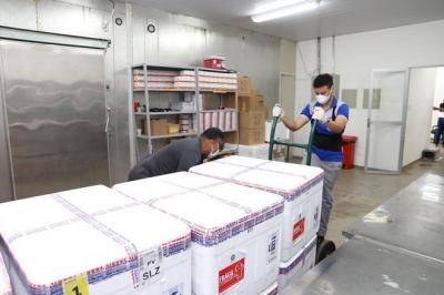 Covid-19: MA recebe novo lote com mais de 229 mil vacinas