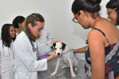 Coroadinho recebe o programa Mais Saúde Animal no sábado (21)