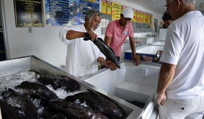 Doença “urina preta” pode estar relacionada a consumo de frutos do mar