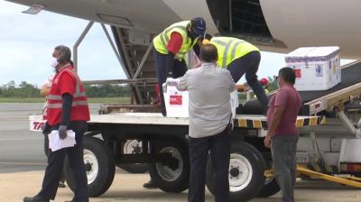 Covid-19: Maranhão recebe mais 122.390 novas doses de vacinas 