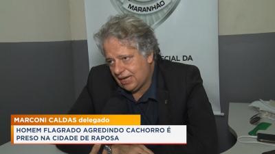 Homem é preso após agressões contra cachorro em Raposa