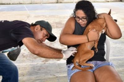 Saúde distribuiu mais de 24 milhões de doses de vacinas antirrábica