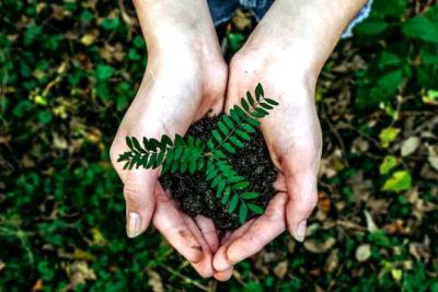 Neste fim de ano, use essas 7 ideias para presente e proteja o meio ambiente 