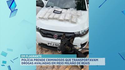 Polícia prende homens que transportavam drogas avaliadas em meio milhão de reais