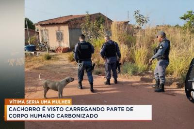 Pedreiras: polícia investiga achado de cadáver carbonizado