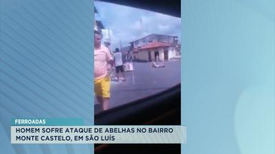 Homem sofre ataque de abelhas no bairro Monte Castelo