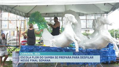 Escola Flor do Samba se prepara para desfilar neste final de semana em SL