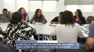 Comitiva federal discute enfrentamento à violência contra mulheres indígenas no MA