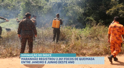 Secretária de Estado do Meio Ambiente amplia projetos contra queimadas no Maranhão