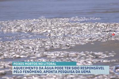 Peixes mortos no litoral; aquecimento da água pode ter sido responsável pelo fenômeno