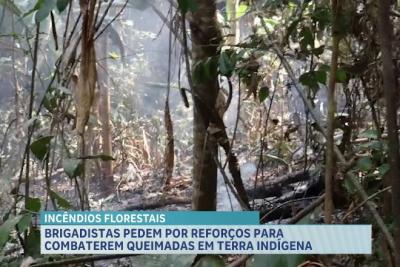 Terra indígena Turiaçu sofre com queimadas: brigadistas pedem por reforços