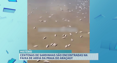 Mistério na Praia do Araçagi: Centenas de Sardinhas Mortas com Odor Forte