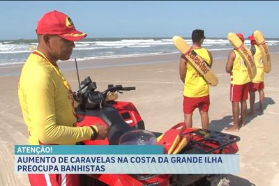  Mais de 250 queimaduras de caravelas são registradas nas praias de São Luís