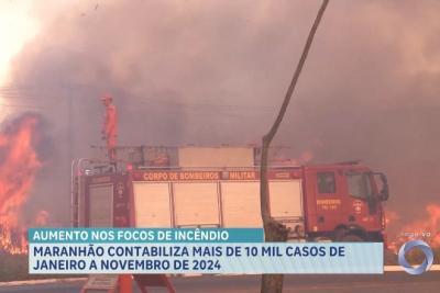 Maranhão contabiliza mais de 10 mil casos de janeiro a novembro de 2024