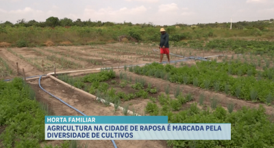 Balanço Geral estreia quadro dedicado ao desenvolvimento agrícola na Grande Ilha