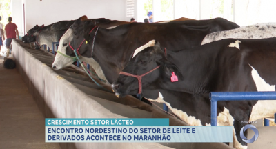 Encontro nordestino do setor de leite e derivados acontece no Maranhão