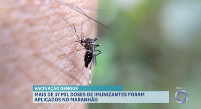 Mais de 37 mil doses de vacinação da dengue foram aplicadas no Maranhão