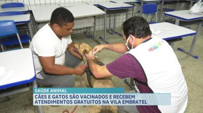 Vila Embratel recebe edição do Cuidar de Todos Saúde Animal no fim de semana