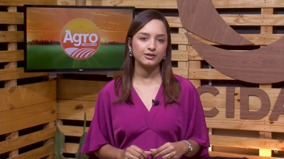 Agro Record: safrinha solidária beneficia 300 famílias em Tasso Fragoso