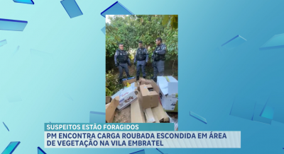 PM recupera carga roubada escondida em área de mata na Vila Embratel
