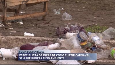 Especialista dá dicas de como curtir o Carnaval sem prejudicar meio ambiente