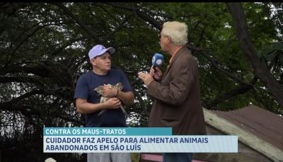 Cuidador pede ajuda para alimentar animais na Praça dos Gatos