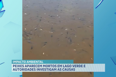 Moradores encontram grande quantidade de peixes mortos no povoado Lago da Mata