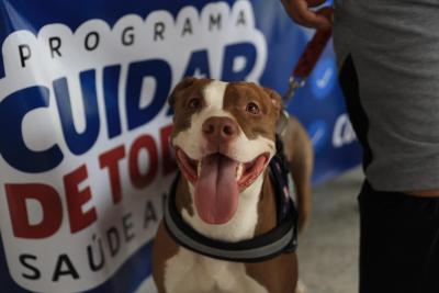 1ª edição do Cuidar de Todos Saúde Animal de 2025 contabiliza mais de 1.600 atendimentos