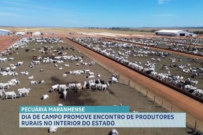 Agro Record: Encontro Nacional do Café, Dia de Campo em Balsas e lançamento do Plano ABC+ Maranhão