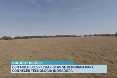 Agro Record: pecuaristas conhecem nova pastagem e Maranhão lança Tempo de Semear