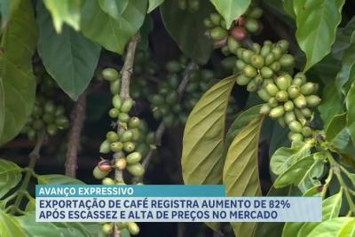 Agro Record: exportação de café cresce, artesanato em couro atrai clientes e piscicultura se expande