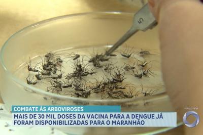 Mais de 30 mil doses da vacina para a dengue já foram disponibilizadas para o estado do Maranhão