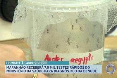 MA deve receber 7,9 mil testes rápidos para diagnóstico de dengue