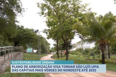 Plano de Arborização promove planejamento sustentável da capital maranhense