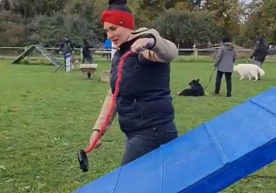 ‘Hobby dogging’: alemães criam modinha de adestrar e passear com cães imaginários