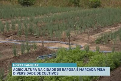 Agro Record: agricultura familiar no município de Raposa