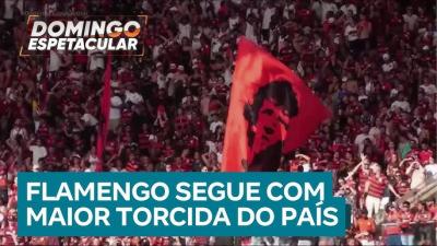 Nova pesquisa exclusiva confirma o Flamengo como a maior torcida do Brasil