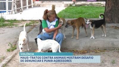 Violência contra animais: 115 ocorrências são registradas no Maranhão em 2025