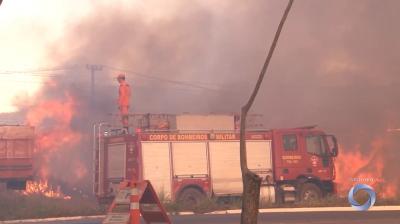 Maranhão registrou aumento de 128% no número de queimadas em relação ao ano anterior