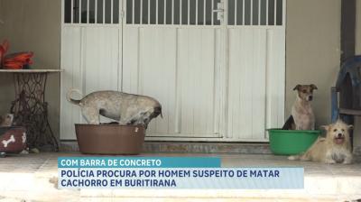 Polícia procura por homem suspeito de matar cachorro a golpes de concreto no interior do Maranhão