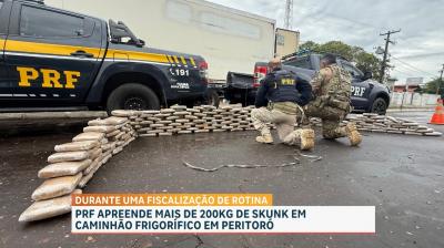 PRF apreende 213 quilos de maconha dentro de caminhão frigorífico, em Peritoró