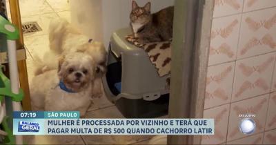 Mulher é condenada a pagar R$ 500 a vizinho em São Paulo toda vez que cachorro latir