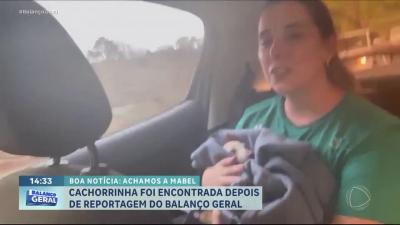 Cachorrinha que fugiu durante passeio é encontrada após reportagem do Balanço Geral