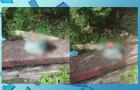 Recém-nascido é encontrado morto dentro de saco em Vitória do Mearim, no MA
