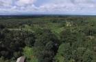 Inpe: desmatamento na Amazônia sobe para quase 30% no 1º semestre deste ano