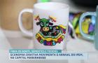 São João: Arraial do Ipem e Caminhos da Cultura celebram a diversidade maranhense